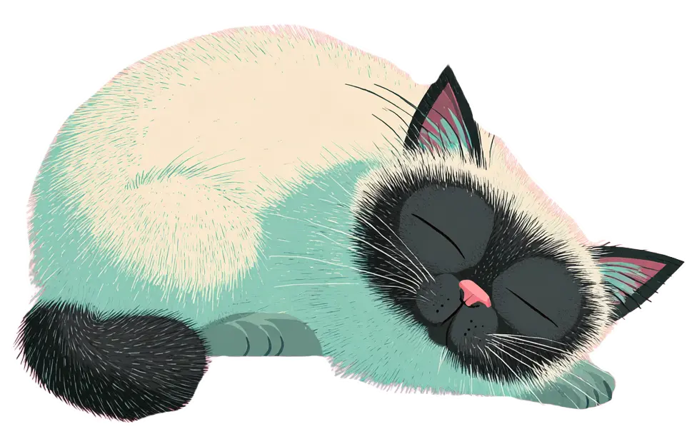 White Cat